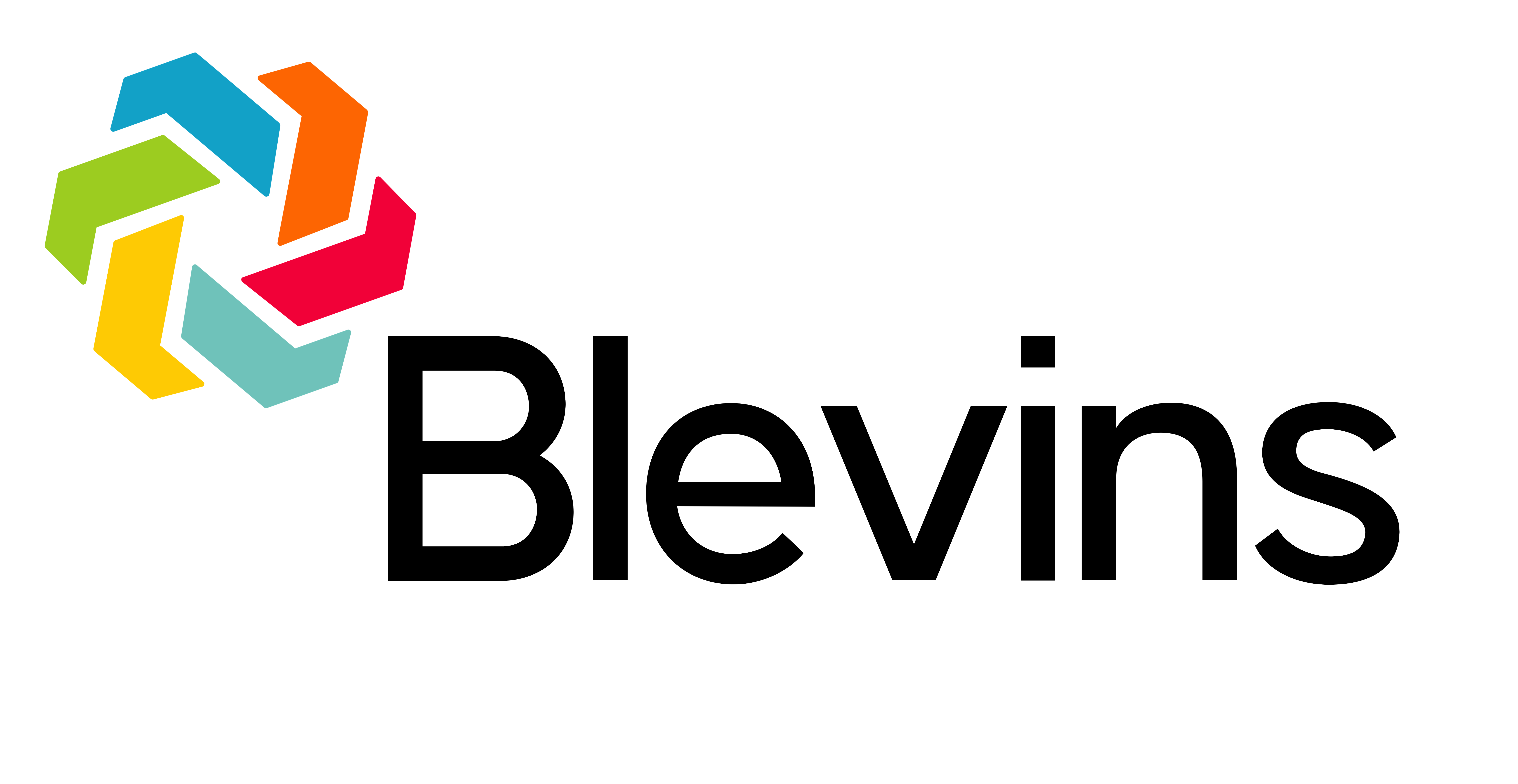 Blevins Holdings Logo